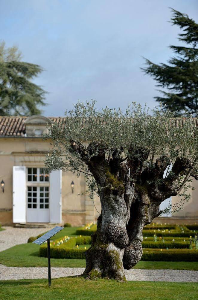 Château Fombrauge Saint-Christophe-des-Bardes Exterior foto